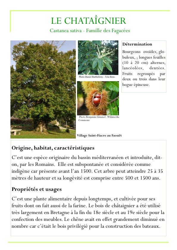 Fiche arbre partie 1 page6