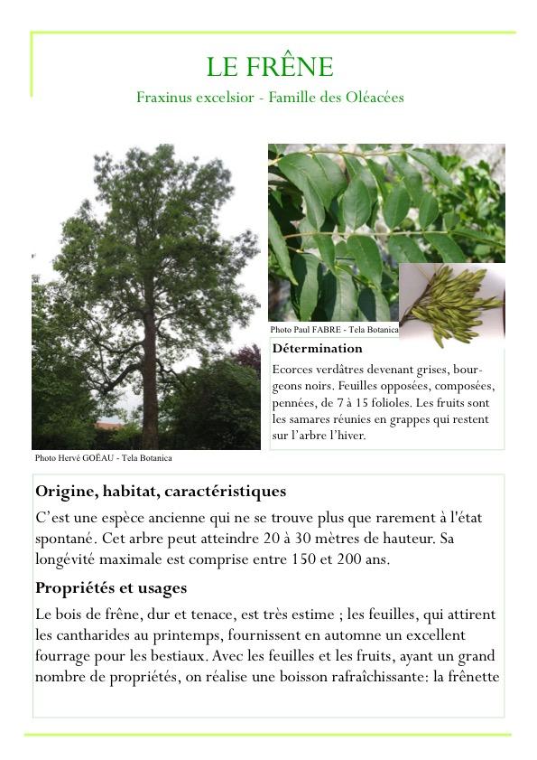 Fiche arbre partie 1 page9
