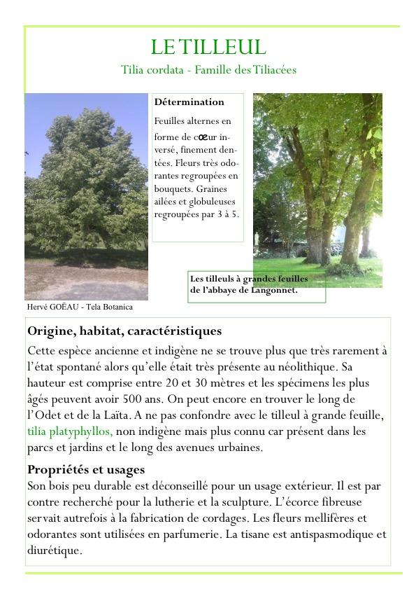 Fiche arbre partie 2 page3